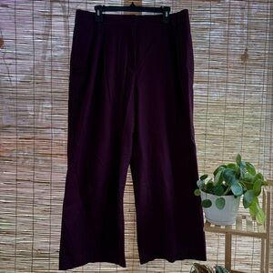 Ann Taylor Plum Trousers
